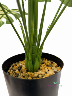 Planta Costilla de Adán o Monstera 80 cm - ambientartedeco