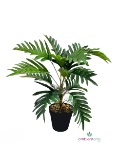 Planta Palmera o Areca de 45 cm en internet