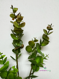 Vara de Eucalipto 45 cm - ambientartedeco