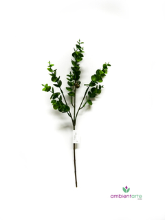 Vara de Eucalipto 45 cm - comprar online