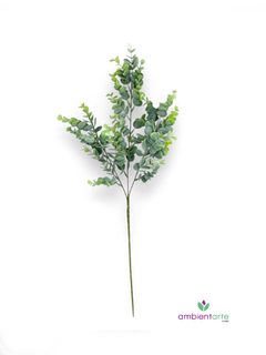 Vara de Eucalipto 70 cm - comprar online