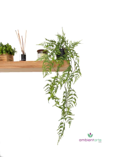 Caida de helecho de 60 cm - comprar online