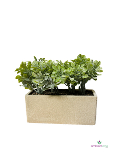 Jardinera con Pasto 15x25 cm - comprar online