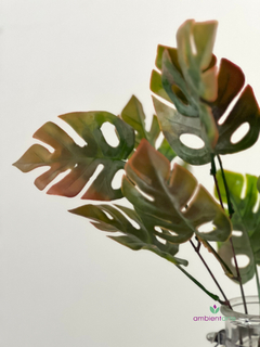 Ramo Monstera o Costilla de Adan de 49 cm en internet