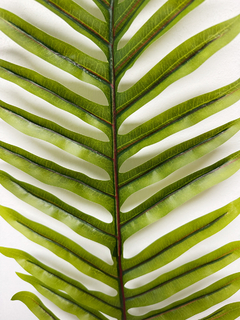 Vara de Hoja Areca o Palmera de adan 120 cm - comprar online