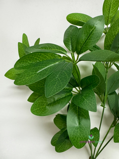 Planta Aralia Schefflera 46 cm - ambientartedeco