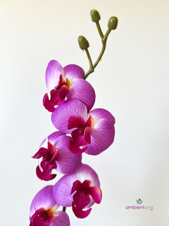 Maceta con orquidea 45 cm
