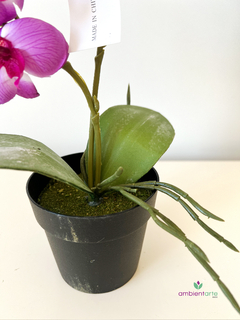 Maceta con orquidea 45 cm - tienda online