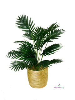Planta Planta Palmera- Areca 60 Cm