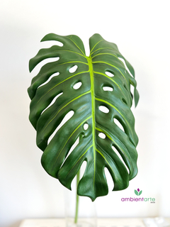 Hoja Costilla de Adán Monstera Gigante 104x37 cm - comprar online