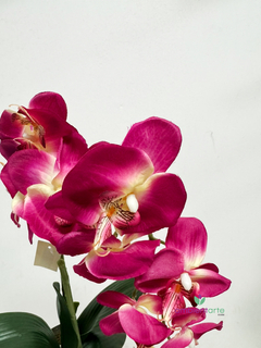 Maceta con orquidea 12x45 cm en internet