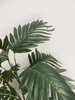 Planta Palmera 70 cm - comprar online