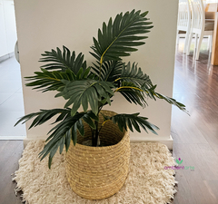 Planta Palmera 70 cm - ambientartedeco