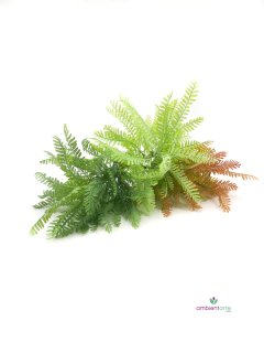 Ramo de Helecho - comprar online