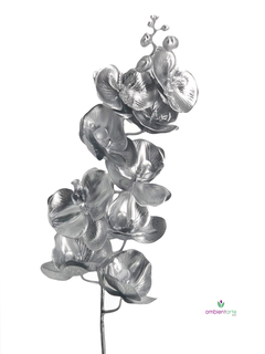 Vara de Orquidea - comprar online