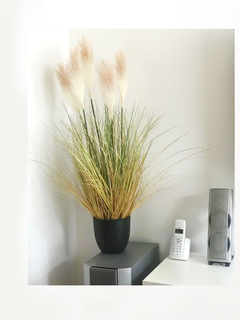 Seollana Otoñal 120 cm