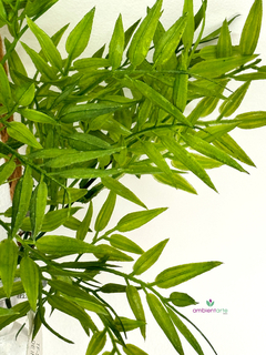 Ramo de Bambu 35 cm - comprar online