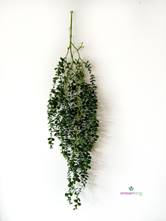 Caída de eucalipto 100 cm - - ambientartedeco