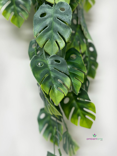 Caída de Monstera o Costilla de Adán - ambientartedeco