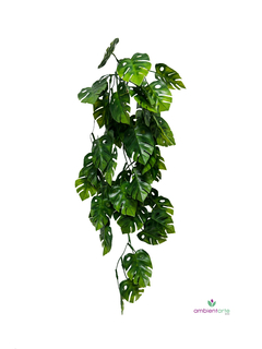 Caída de Monstera o Costilla de Adán