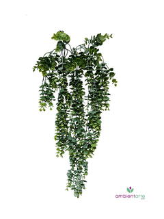 Caida de Eucaliptos 80 cm