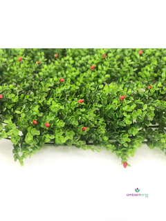 Bloque de Eucalipto y frutos - comprar online