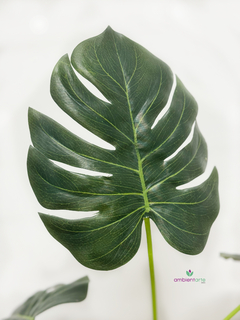 Planta Monstera o Costilla de Adán 65 cm - comprar online