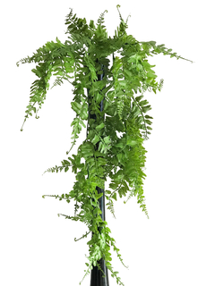 Caída de Helecho 80 cm - comprar online