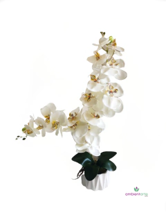 Arreglo con Orquídea 10x60 cm en internet