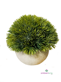 Maceta con Pino 12x12 - comprar online