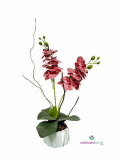 Arreglo con Orquídea 10x50 cm - comprar online