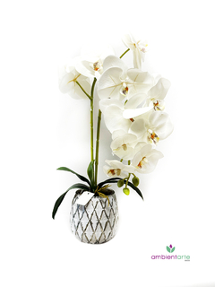 Maceta con orquidea 10x50 cm