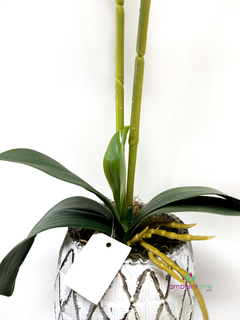 Maceta con orquidea 10x50 cm en internet