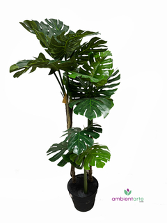 Planta de Monstera o Costilla de Adan 150 cm x 3 Troncos - comprar online