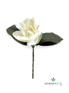 Vara de Magnolia 45 cm