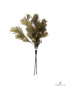 Vara Silvestre con Frutos