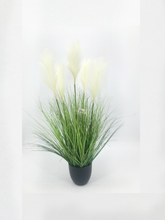 Seollana Blanca 85 cm