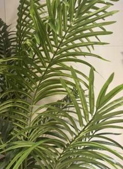 Planta Areca de 210 cm - ambientartedeco