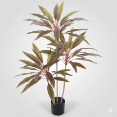 Planta de Ti de 90 cm - comprar online