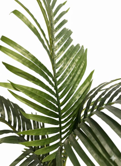 Planta Palmera 95 cm con Maceta en internet