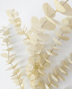 Vara de Eucalipto 80 cm - ambientartedeco