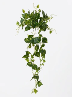 Caida de Hojas Potus de 120 cm - comprar online