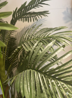 Arbol Palmera x3 TRoncos 190 cm - tienda online