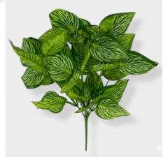 Ramo de Fitonia 35 cm - comprar online