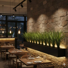 Planta Dracena de 75 cm - comprar online