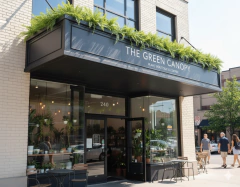 Ramo de Helecho 45 cm - comprar online