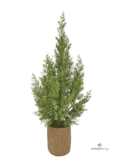 Maceta con Pino 10x60 cm en internet