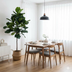 Planta Pandurata 160 cm - comprar online