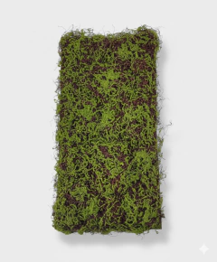 Bloque de Musgo 50x100 cm en internet