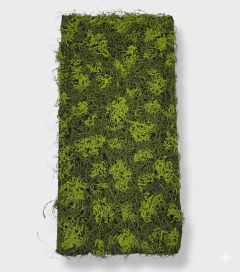 Bloque Musgo 50x100 cm en internet